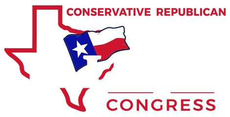 Fallon for congress logo