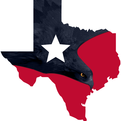 Raven 4 congress logo