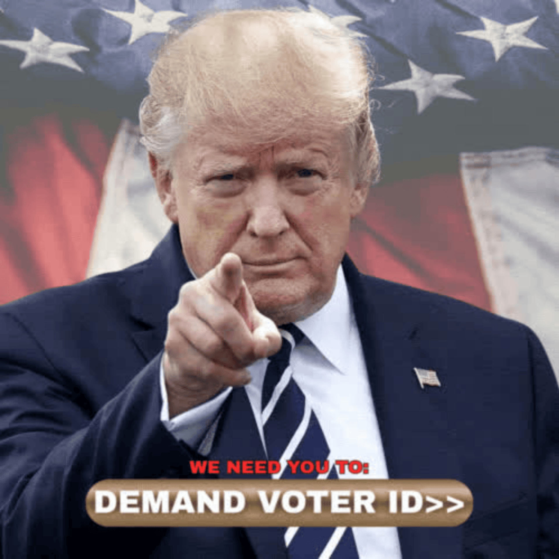 Voter ID poll banner
