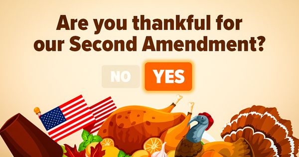PLEASE SIGN OUR THANKSGIVING PETITION ⬇️ nra.wiki/thankful