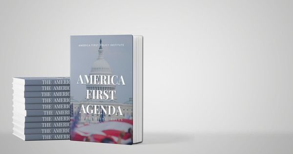 Make a Donation | America First Policy Institute