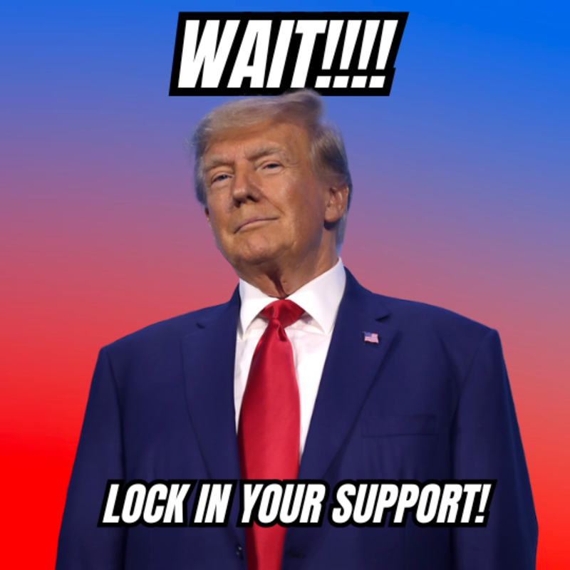 Wait, before you go...